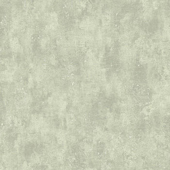 Papel de Parede Cimento Queimado - Texture 2 - TX-2043 - Vinílico