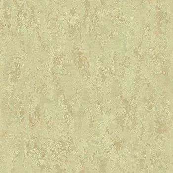 Papel de Parede Cimento Queimado - Texture 2 - TX-2044 - Vinílico