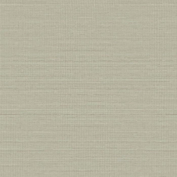 Papel de Parede Palha - Texture 3 - TX-3009 - Vinílico