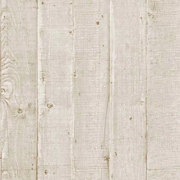 Papel de Parede Cimento Queimado - York - 05C8061 - Vinilíco